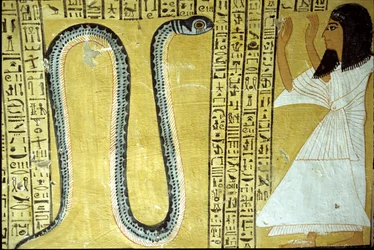 Inherkhau vereert Sito, slangengod van de onderwereld, uit het graf van Inherkhau, Thebe (wandschildering)